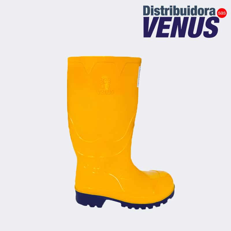 BOTA INDUSTRIA LIVIANA SP AM AZ